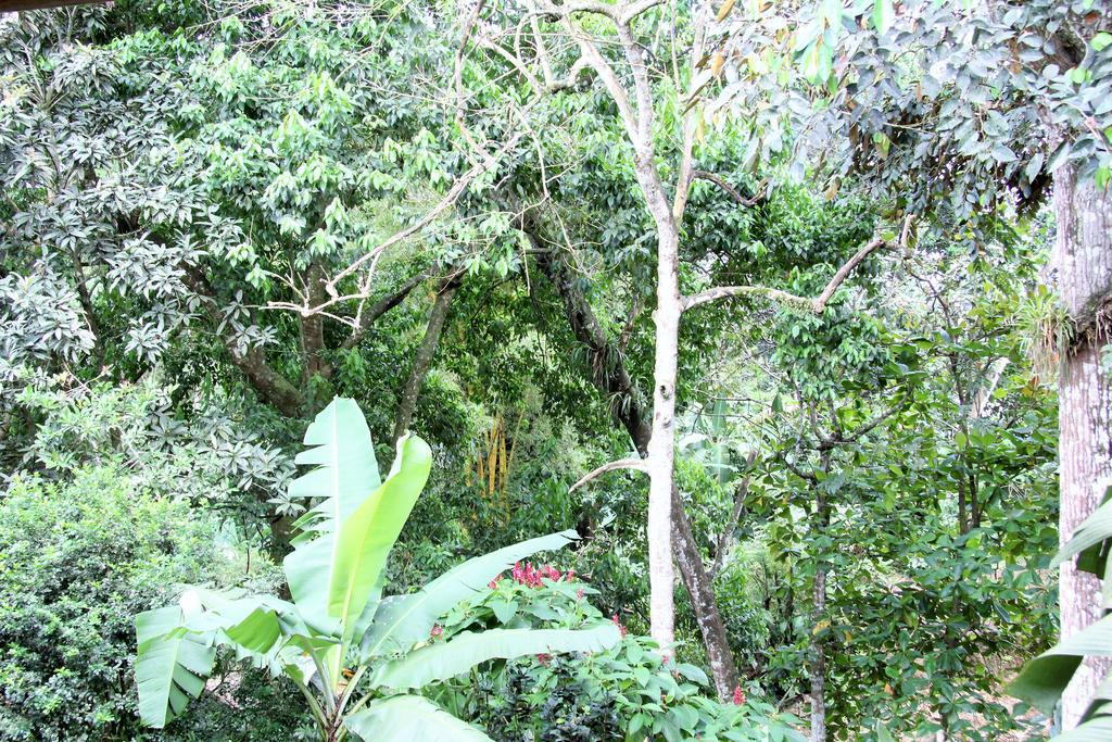Hotel Monte Real La Fortuna Luaran gambar