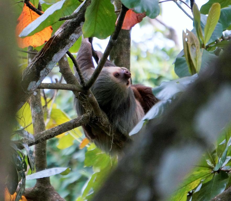 Hotel Monte Real La Fortuna Luaran gambar