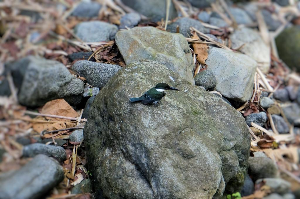 Hotel Monte Real La Fortuna Luaran gambar